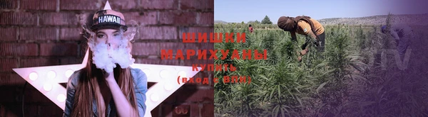 ешки Пересвет
