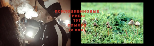 mix Пестово