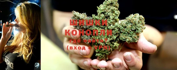 ешки Пересвет