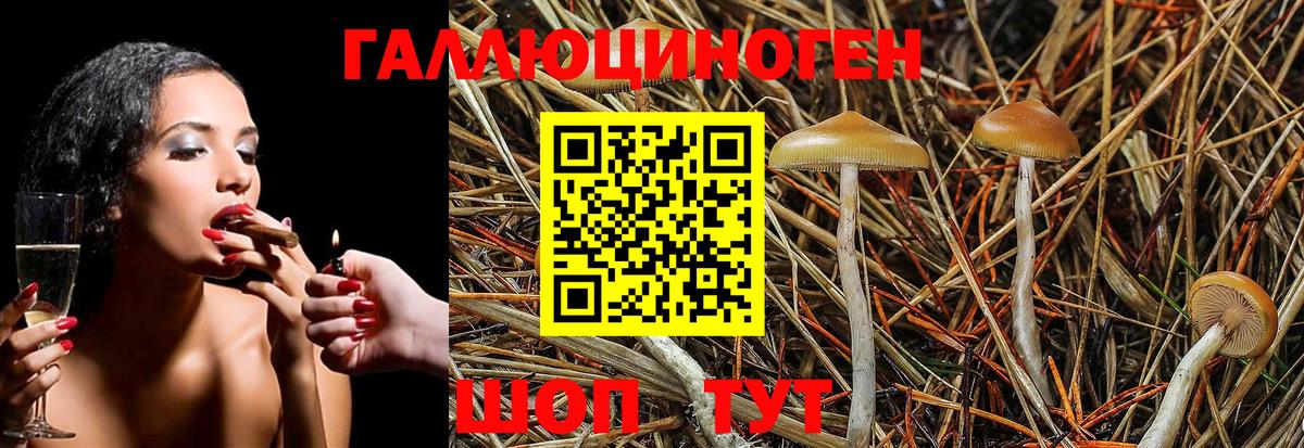 Псилоцибиновые грибы MAGIC MUSHROOMS Вольск