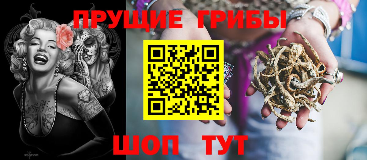 Галлюциногенные грибы Magic Shrooms Вольск