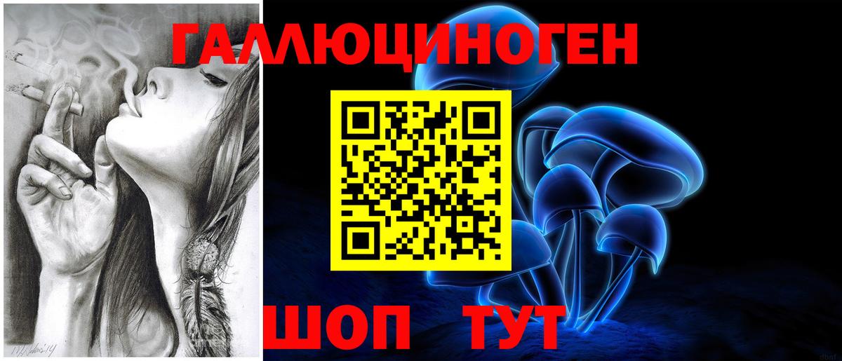 Вольск  Псилоцибиновые грибы мухоморы  Вход с VPN 