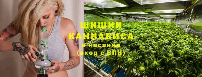 Канабис OG Kush  купить закладку  Вольск 